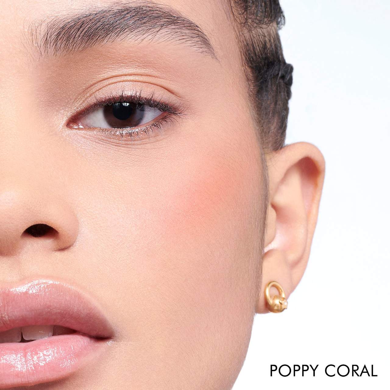 Rubor Dior Backstage Rosy Glow 006
