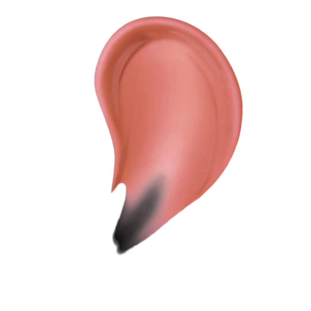 TEDDY TINT MAYBELLINE- CURRENT MOOD
